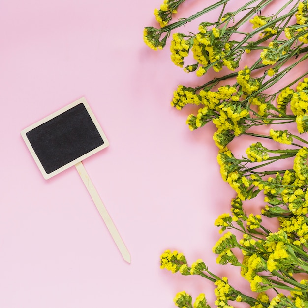 A blank blackboard label and yellow flowers on pink backdrop