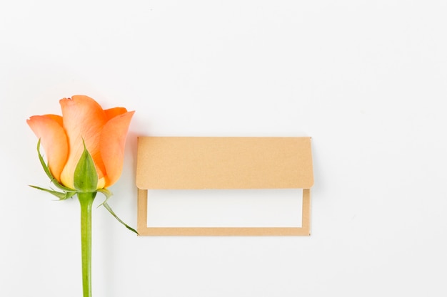 Blank card with spring flowers