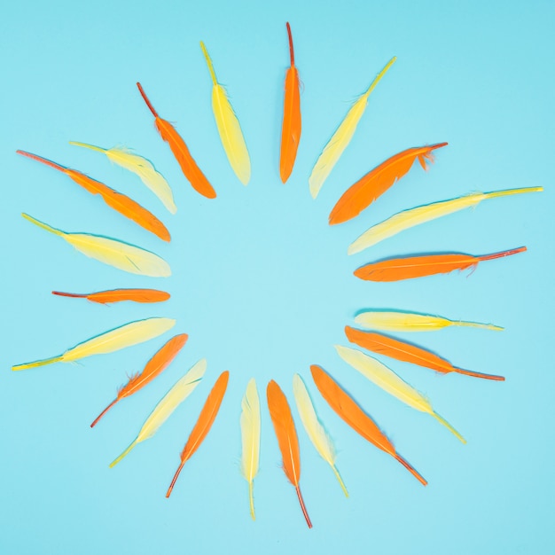 Blank circular frame made with yellow and orange feather against blue backdrop