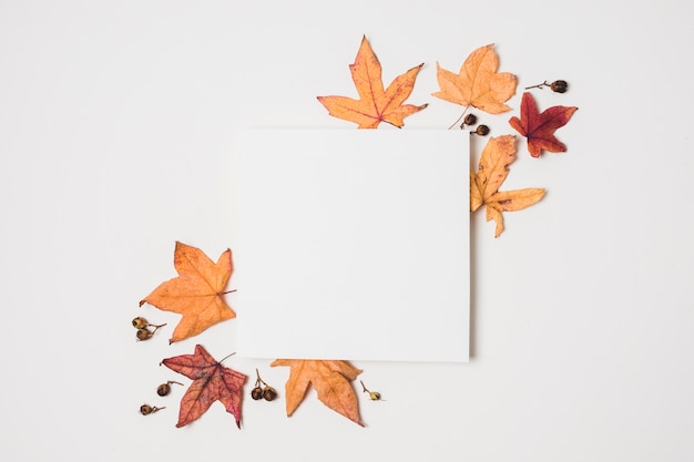 Free Photo blank copy space with autumn leaves frame