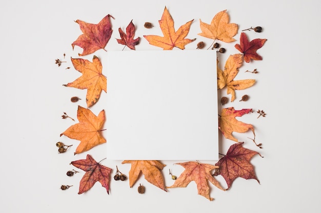 Free Photo blank copy space with autumn leaves frame