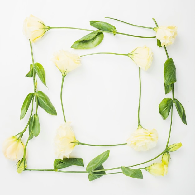 Free Photo blank frame border made with flowers on white background