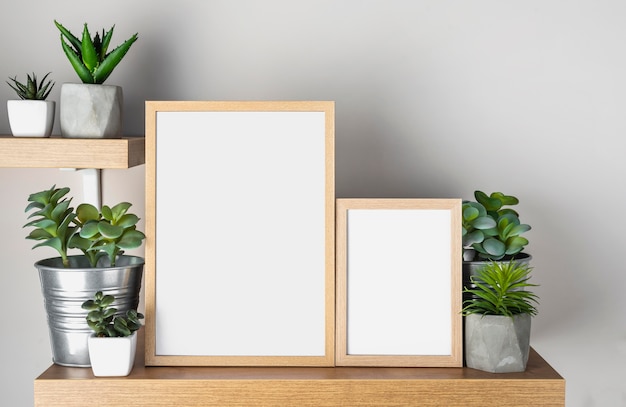 Blank frame on shelf beside flower pots