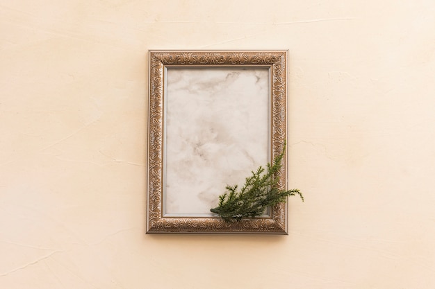 Free photo blank frame with green branch