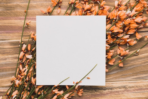 Free photo blank note on decorative flowers