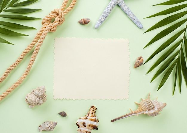 Free photo blank paper sheet with shells