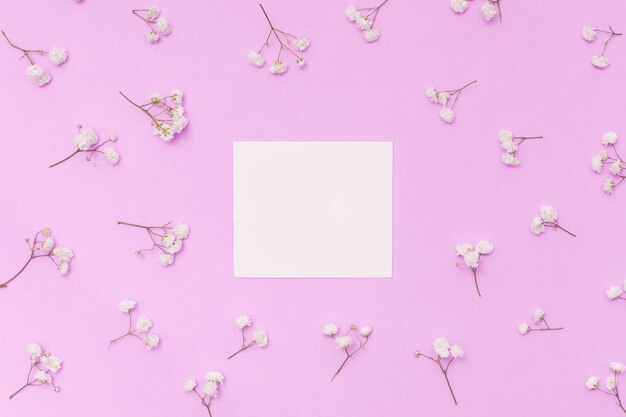 Blank paper with flower branches on table