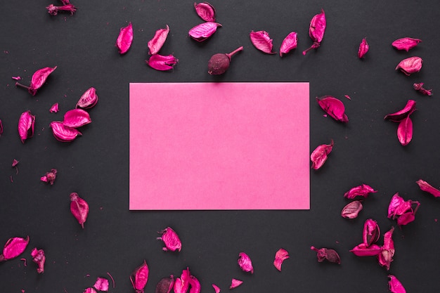 Free Photo blank paper with flower petals on table