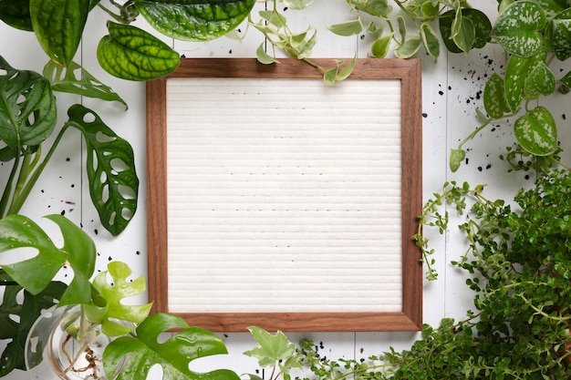 Free photo blank picture frame with in plant background