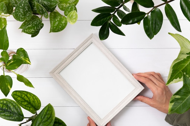 Free photo blank picture frame with in plant background