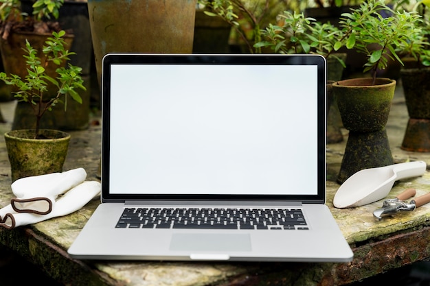 Blank screen laptop in a greenhouse