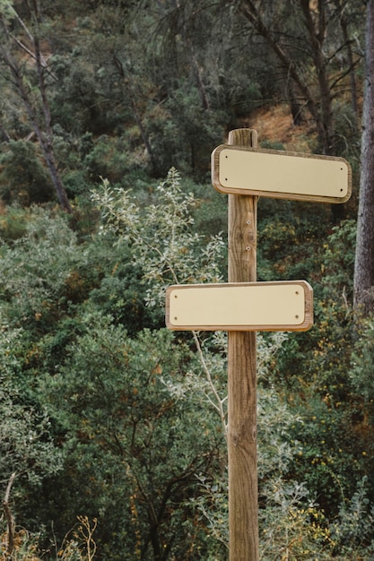 Blank sign in forest