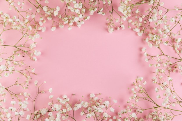 Free Photo blank space for writing text with fresh white gypsophila flower against pink background