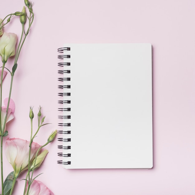 Free photo blank spiral notebook with eustoma flowers against pink backdrop