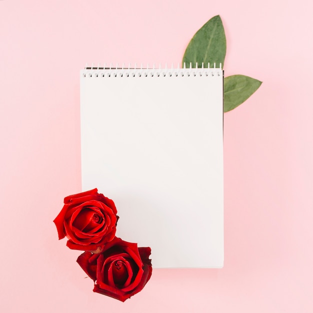 Free photo blank spiral notepad decorated with red roses on pink background