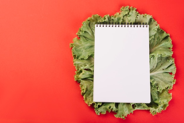 Free photo blank spiral notepad on lettuce over red background