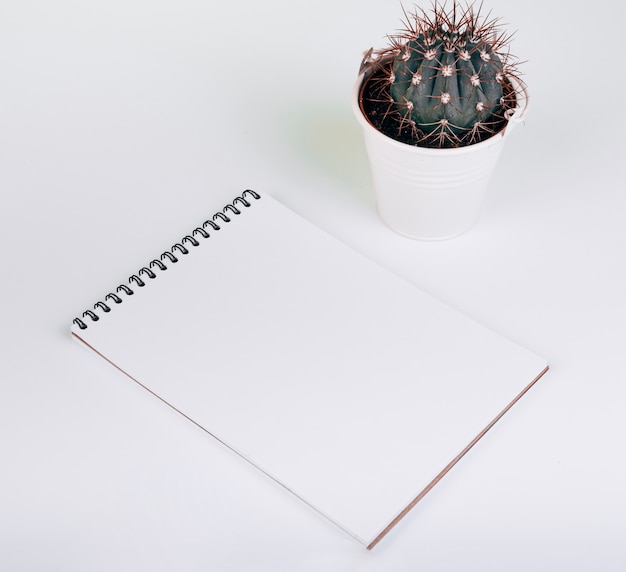 Free photo blank spiral notepad near the cactus bucket on white background