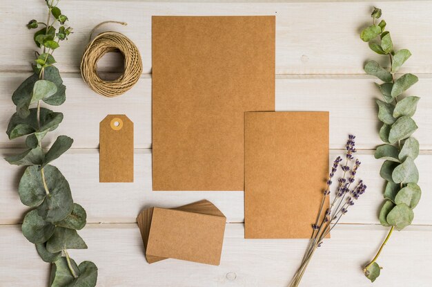 Blank stationery set with leaves