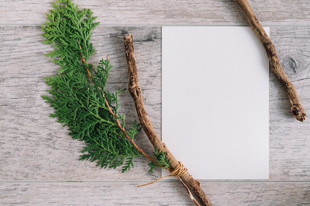 Blank white paper with cedar twig and branch on wooden textured background