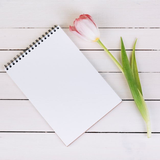 Free photo blank white spiral notepad and fresh pink tulip on wooden desk