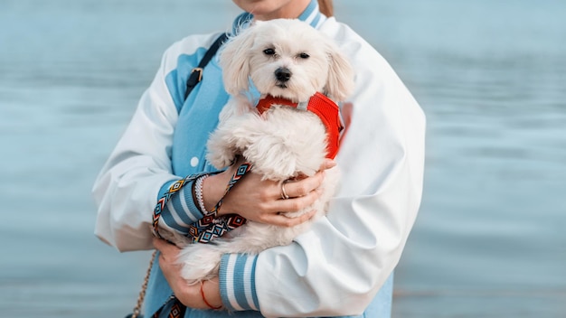 Free Photo blonde woman holding maltese dog