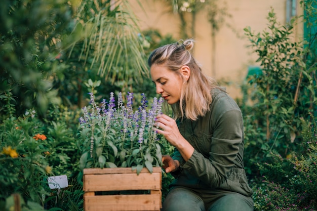 Free photo blonde young woman smelling the lavender flowers in the crate