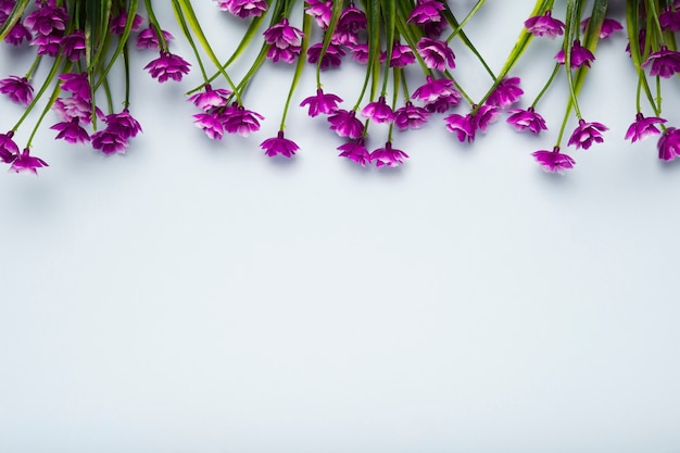 Blooming flowers with copy space on table