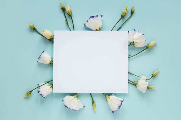 Free photo blooming spring flowers surrounding an empty piece of paper