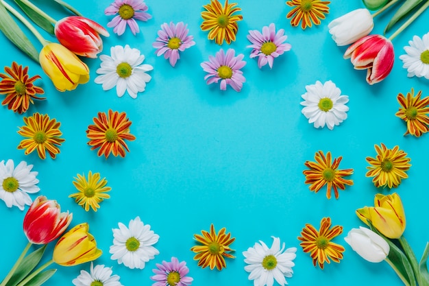 Blooming tender flowers on blue