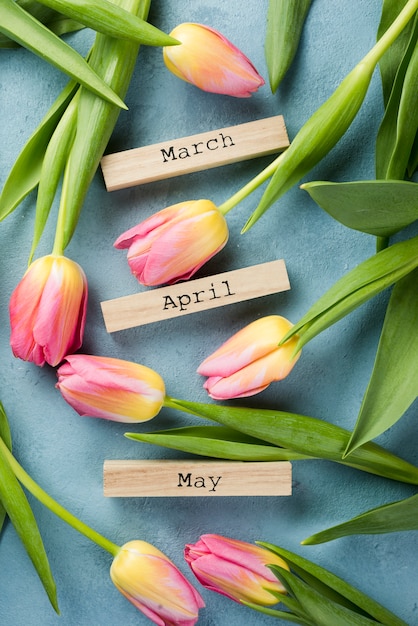 Free Photo blooming tulips with spring months tags