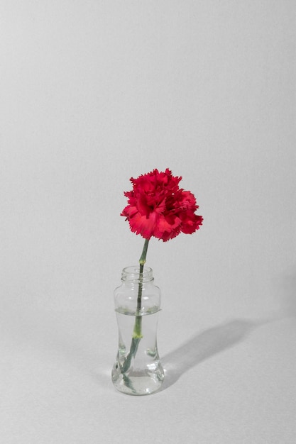 Free photo blossom flower in vase on table