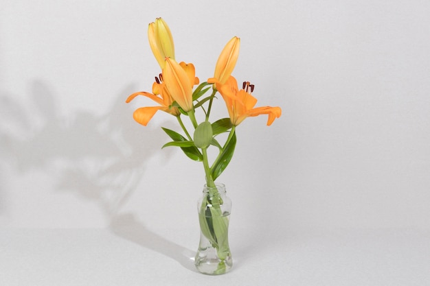 Free photo blossom flower in vase on table