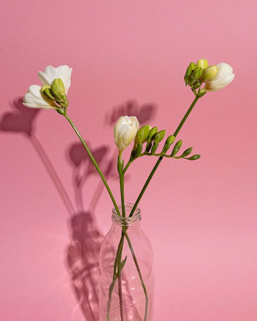 Free photo blossom flower in vase on table