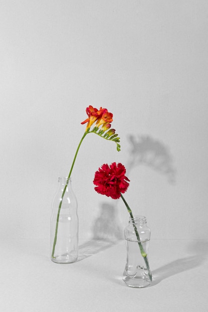 Free photo blossom flowers in vase on table