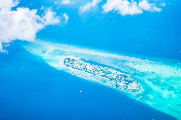 Free photo blue coral plane sea ocean