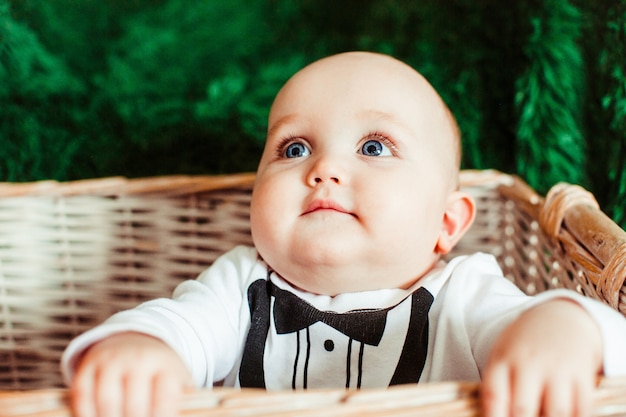 Free photo blue-eyed child sits in a basket