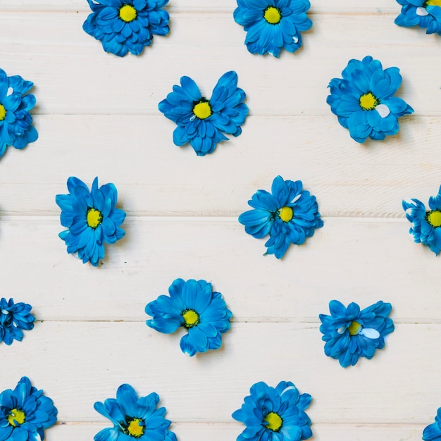 Blue flower heads