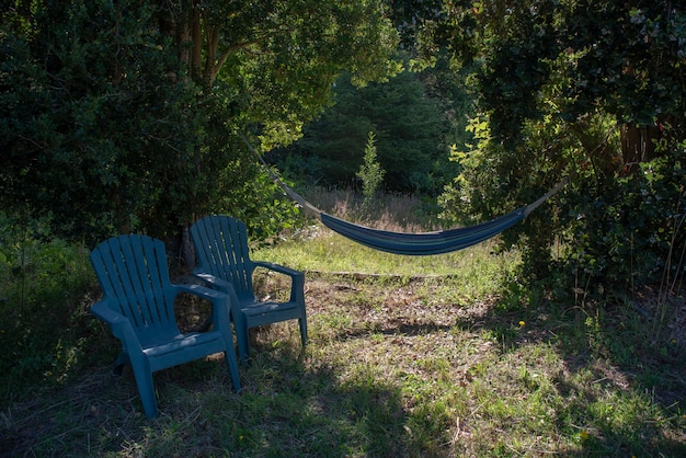 Free Photo blue hammock attached to trees with blue plastic chairs on the side in a green forest