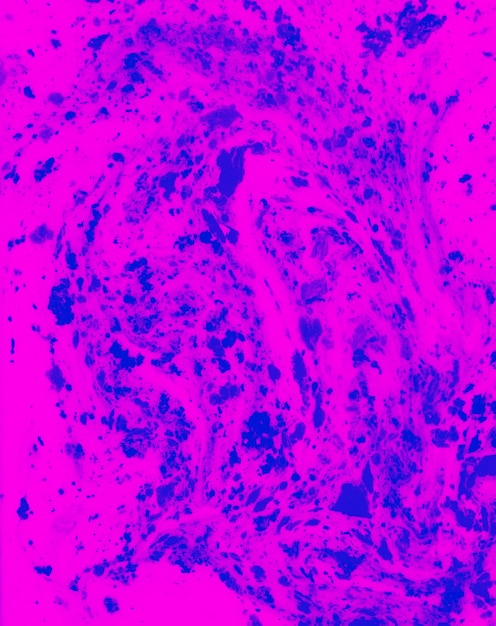 Blue holi color powder mixed in the pink liquid background