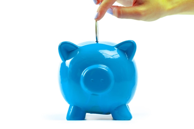 Free photo blue piggy bank or money box