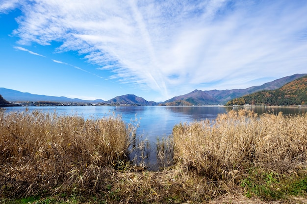 Free Photo blue sky and grass at kawaguchiko lake, japan