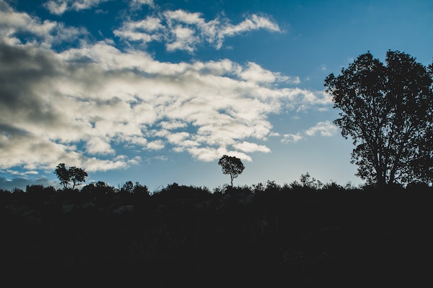 Free Photo blue sky with clouds in countryside