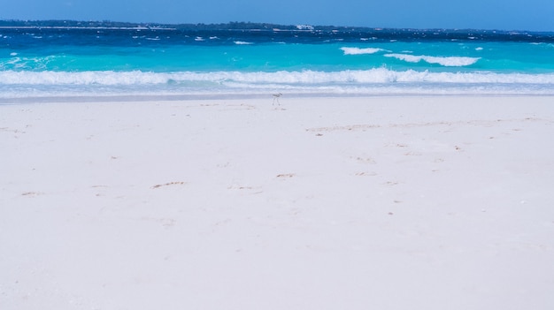 Free photo blue water waves on the shore of an ocean