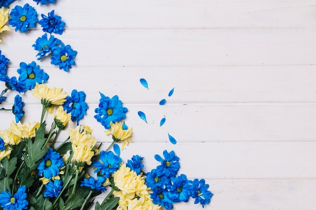 Blue and white flowers