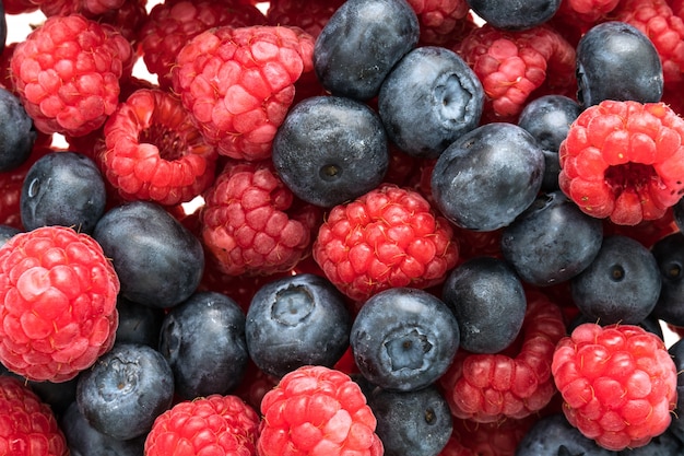 Blueberry and Rasberry fruit