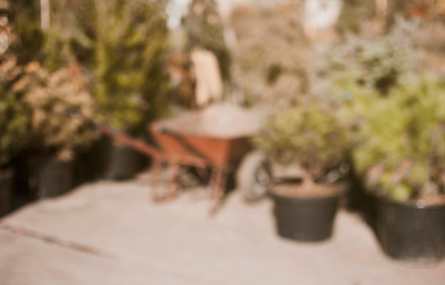 Free Photo blurred garden center