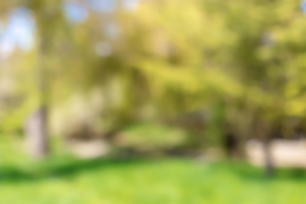 Blurred park vibrant green natural background