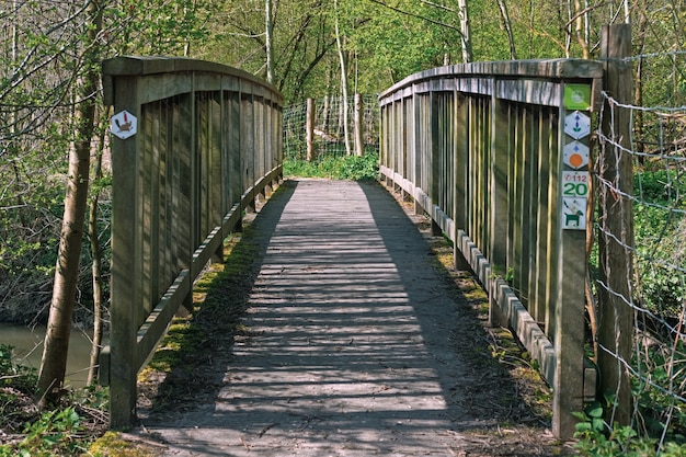 Free Photo boardwalk in a park with a lot of beautiful trees