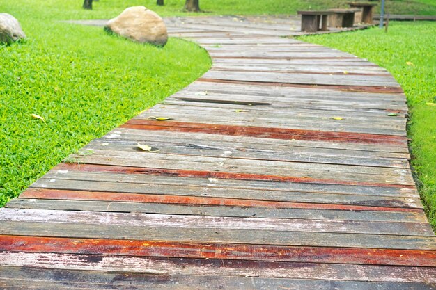 Boardwalk with dry leaves