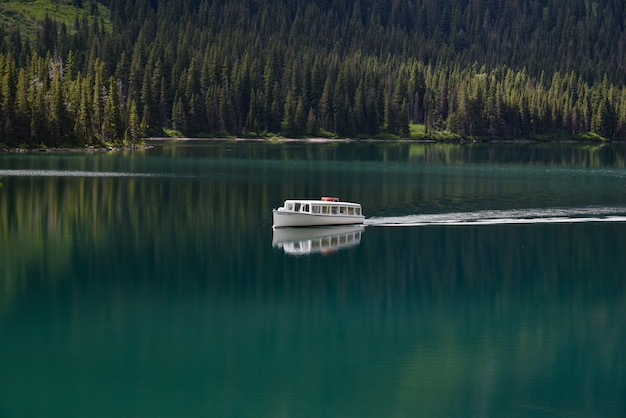 Boat in the clear lake surrounded by green forest